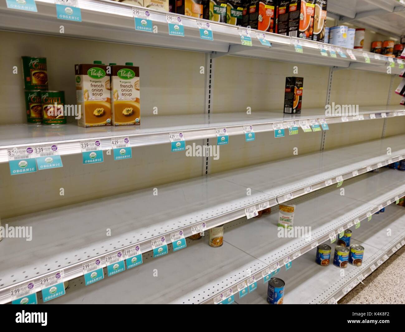 Gainesville, USA, 6 September, 2017. Prepared soup has been a popular grocery item as North Central Florida residents prepare for the storm. Credit: Cecile Marion/Alamy Live News. Stock Photo