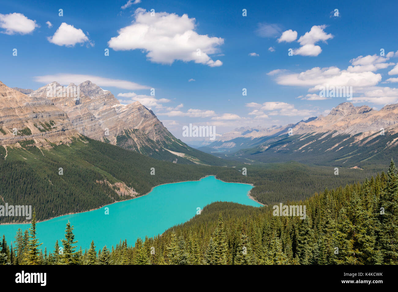 Peyto Lake, Banff National Park, Canadian Rocky Mountains, Alberta ...