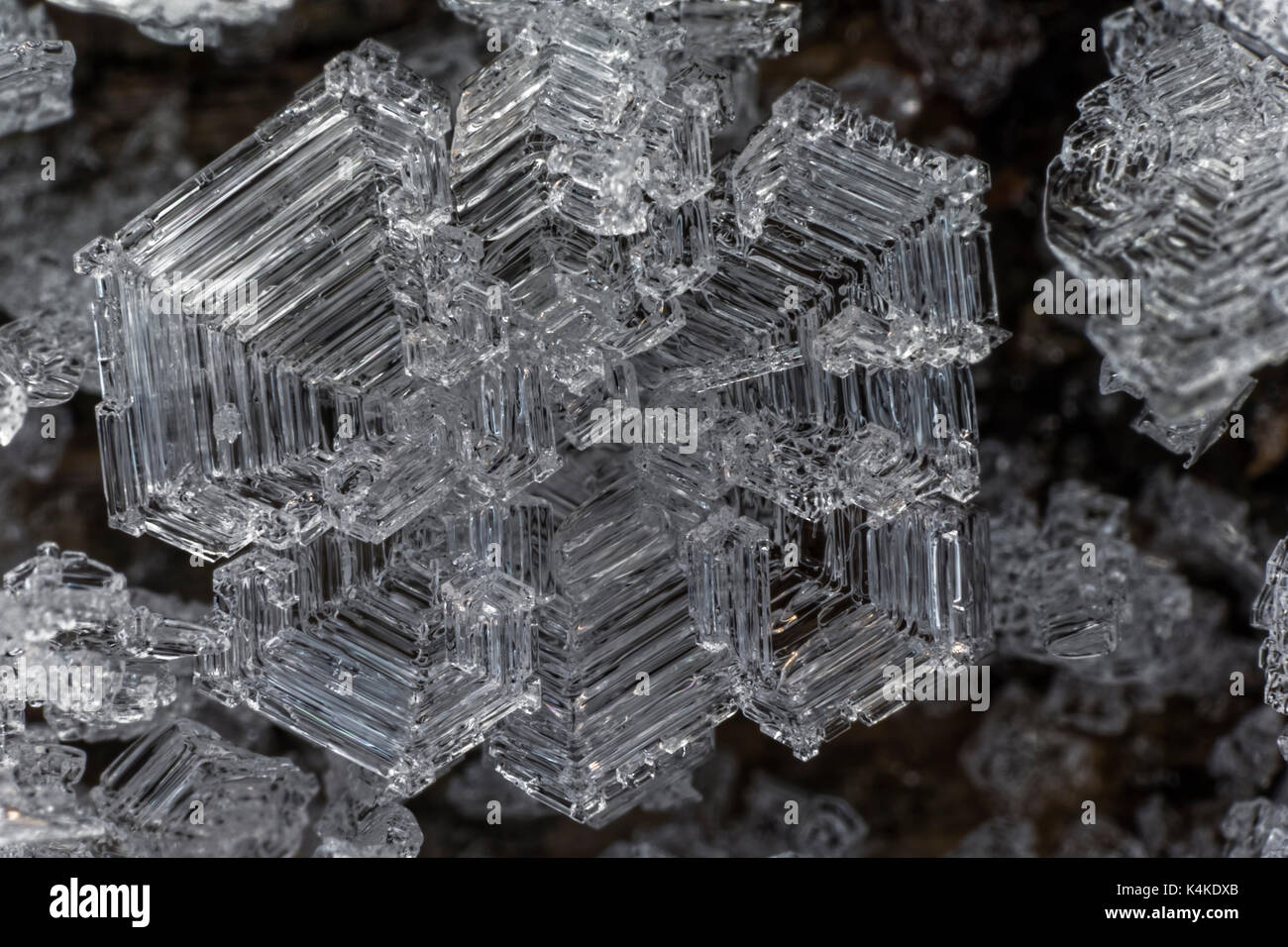 Ice crystal, structure, black and white image Stock Photo