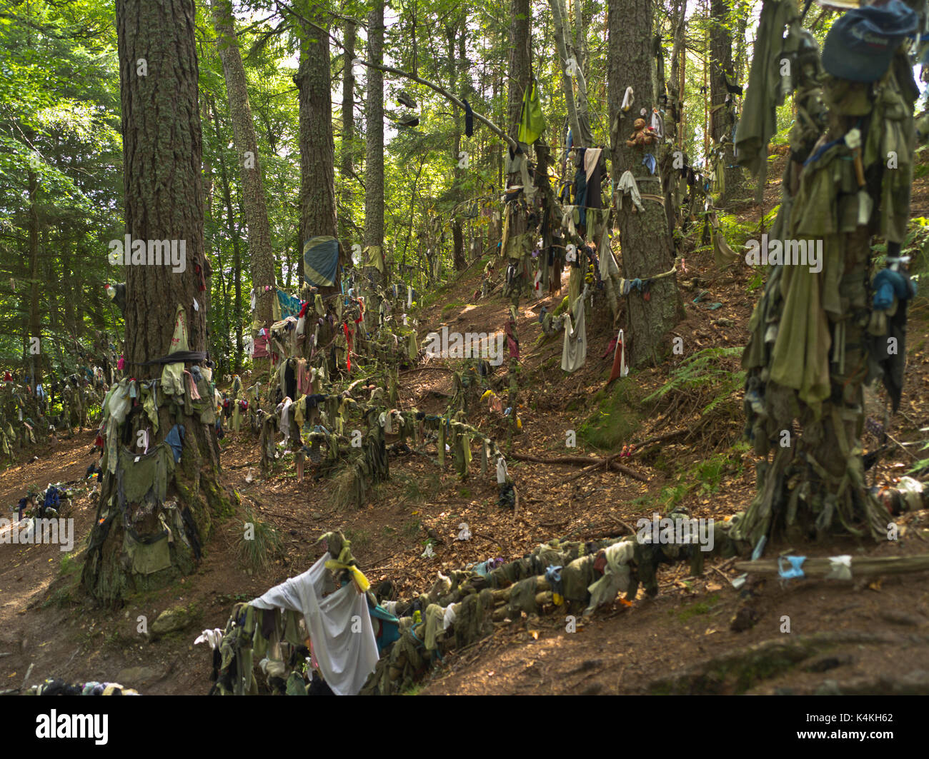 dh Clootie Well MUNLOCHY ROSS CROMARTY Celtic healing ritual strips of cloth rags cloutie cloughtie wells tree scotland Stock Photo