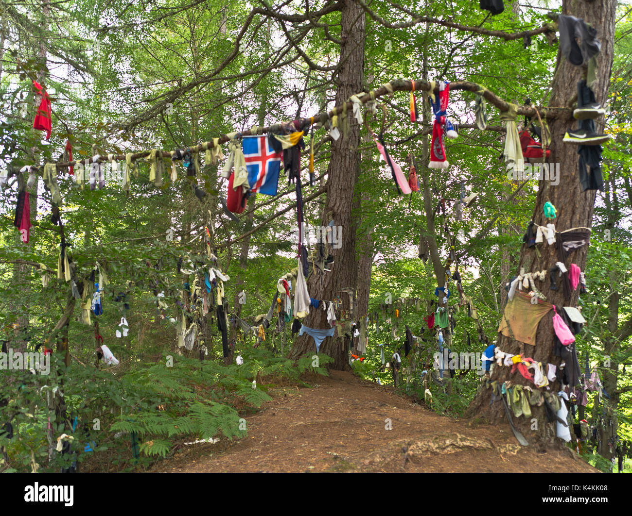 dh Clootie Well Scotland MUNLOCHY ROSS CROMARTY Celtic healing ritual strips of cloth rags cloutie wells cloughtie tree Stock Photo