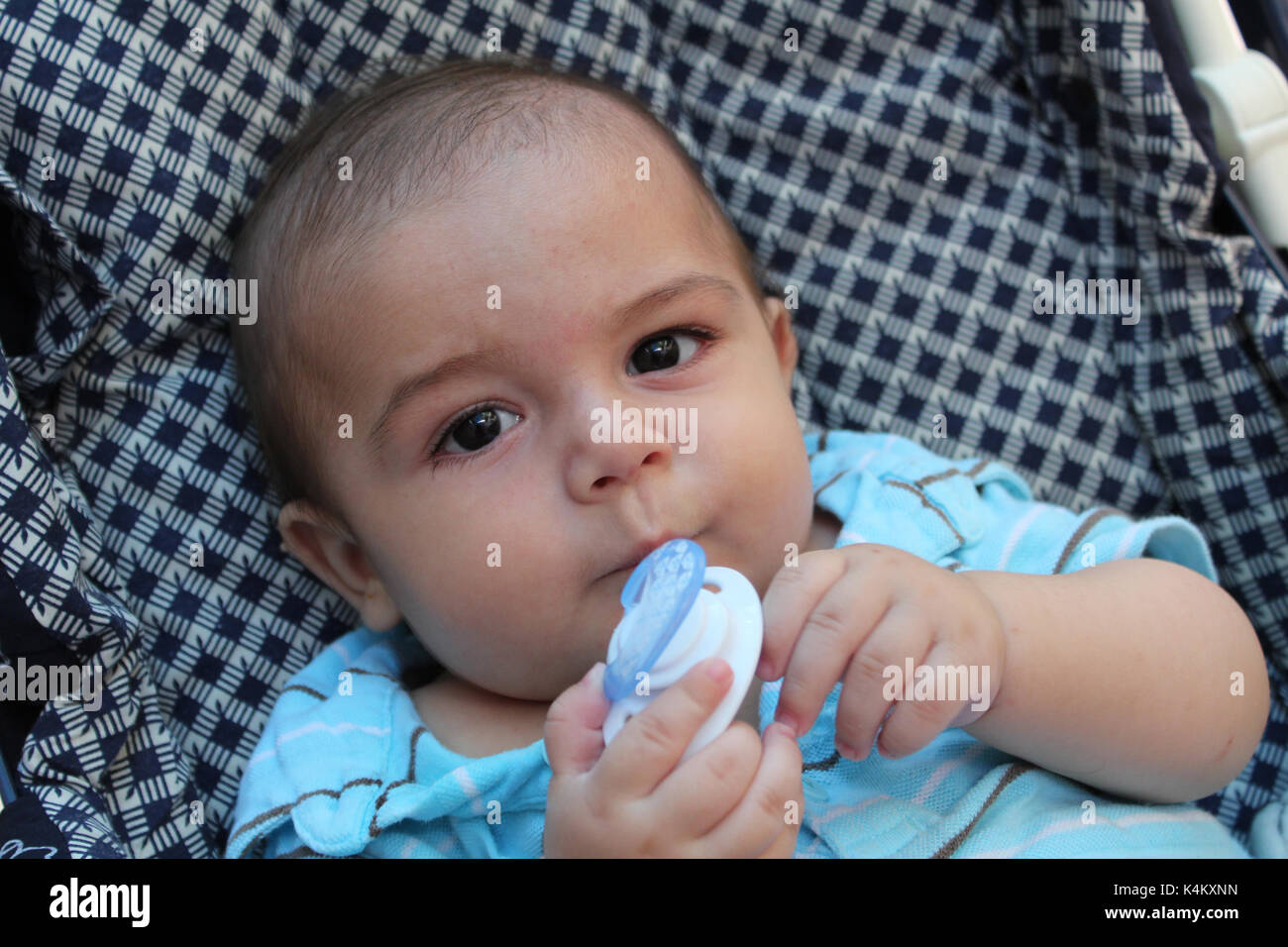 five months old teething baby boy in pushchair Stock Photo Alamy