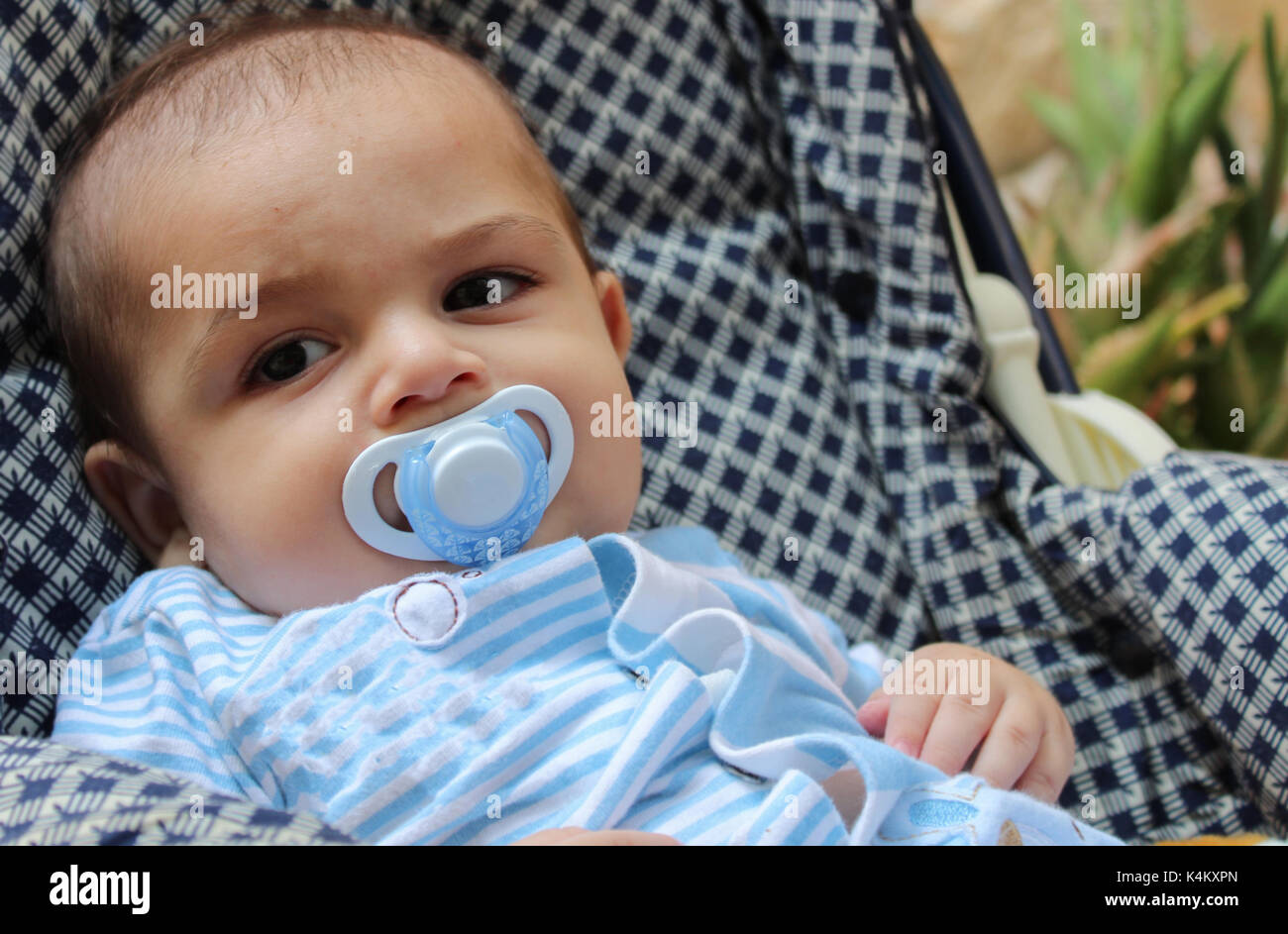 five months old teething baby boy in pushchair Stock Photo Alamy
