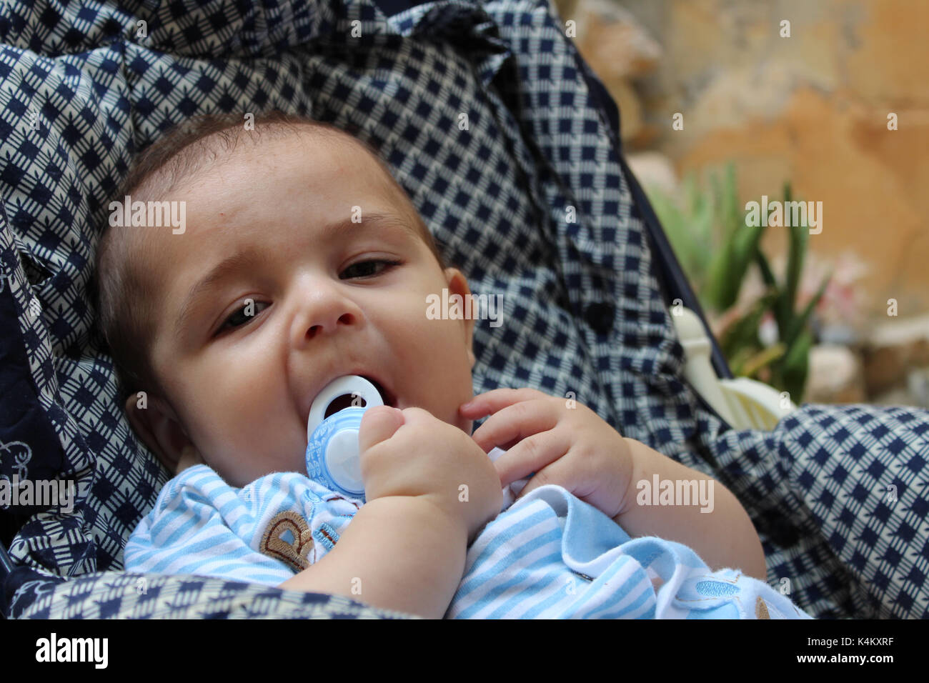 five months old teething baby boy in pushchair Stock Photo Alamy