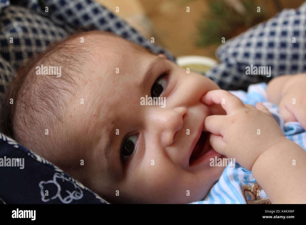 five months old teething baby boy in pushchair Stock Photo Alamy