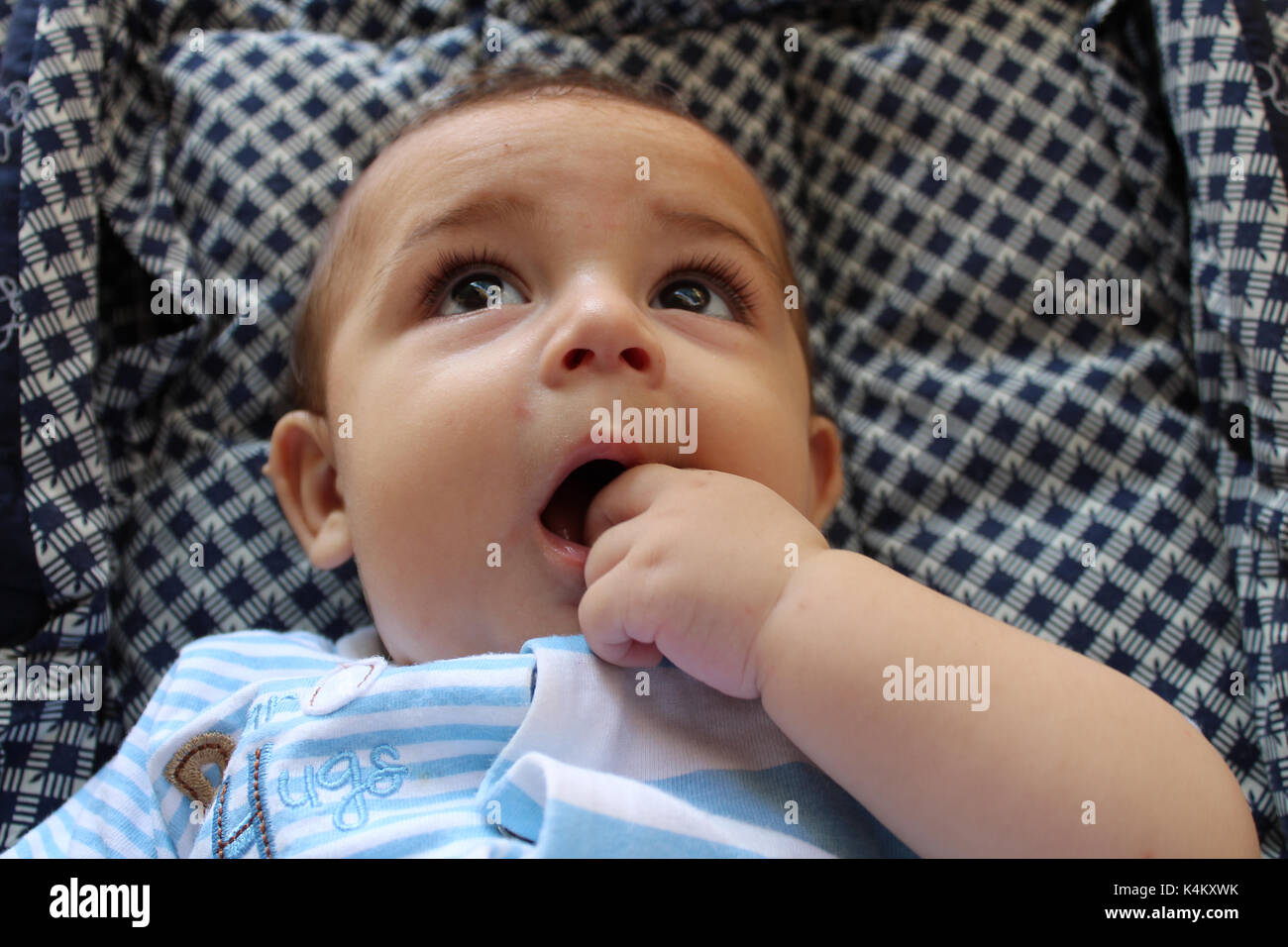 five months old teething baby boy in pushchair Stock Photo Alamy