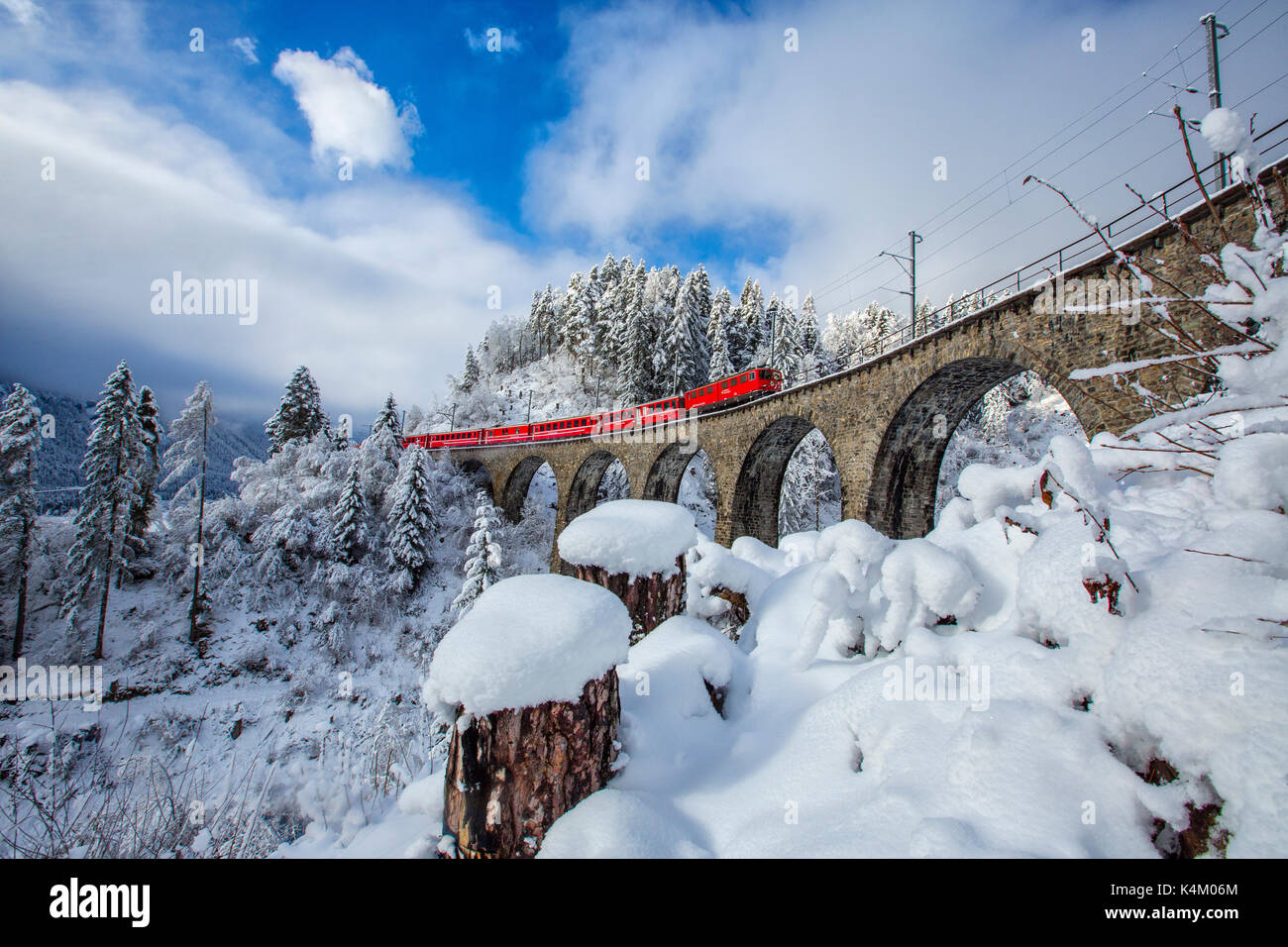 Filisur Pass Bernina Express passes through the snowy woods around Filisur Canton of ...