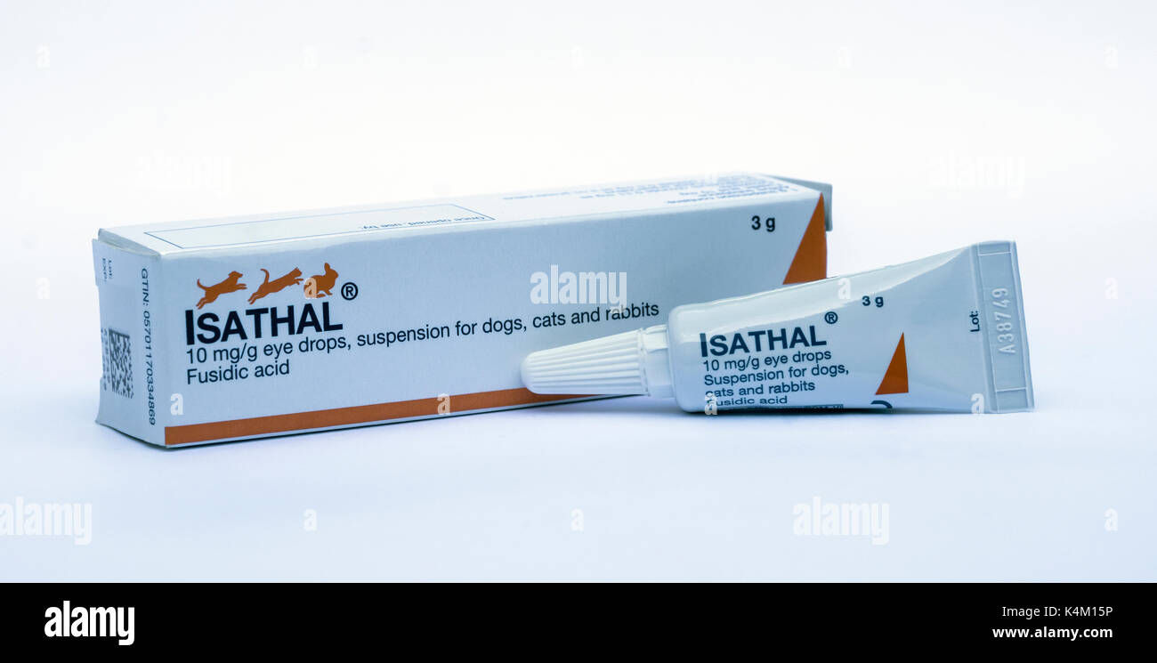 Isathal eye drops for animals Stock Photo