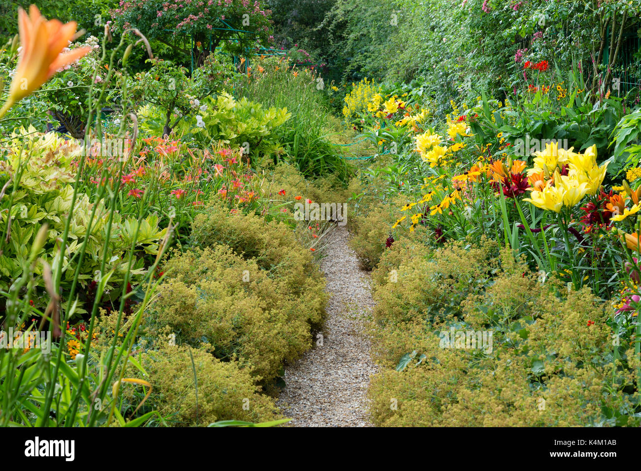 France, Eure (27), Giverny, jardin et maison du peintre Claude Monet, allée bordée d'alchémilles et de lis // France, Eure, Giverny, garden and house  Stock Photo