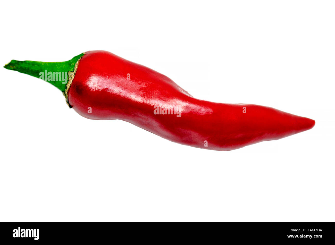 Isolated red chili pepper Stock Photo