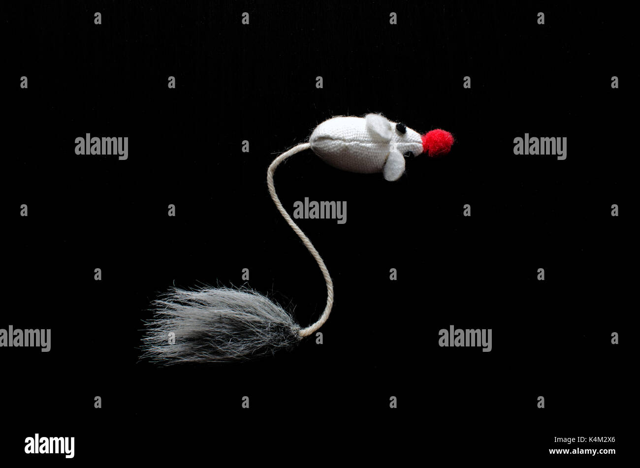 A mouse isolated on black Stock Photo
