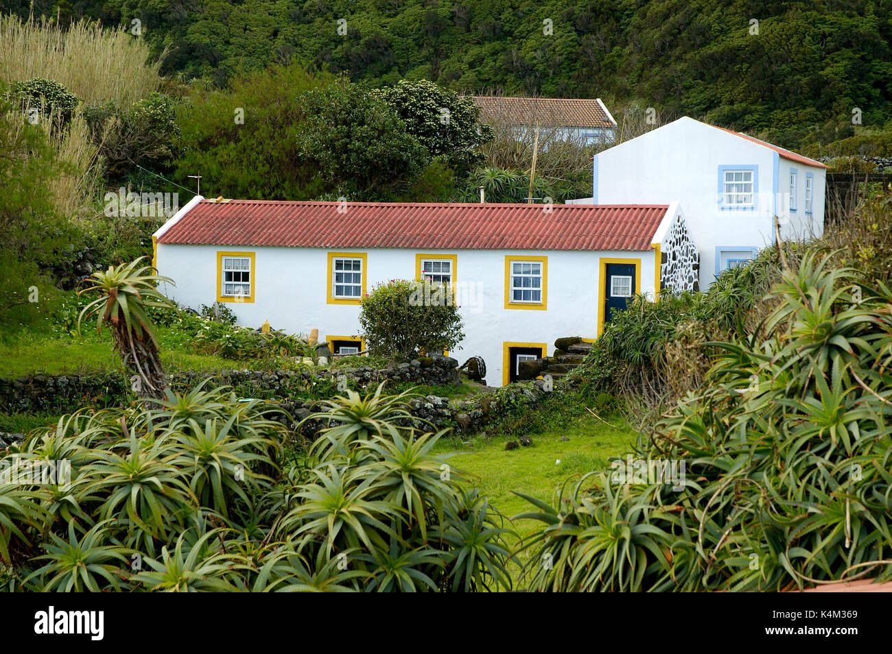 Traditional houses at Fajã da Caldeira de Santo Cristo, São