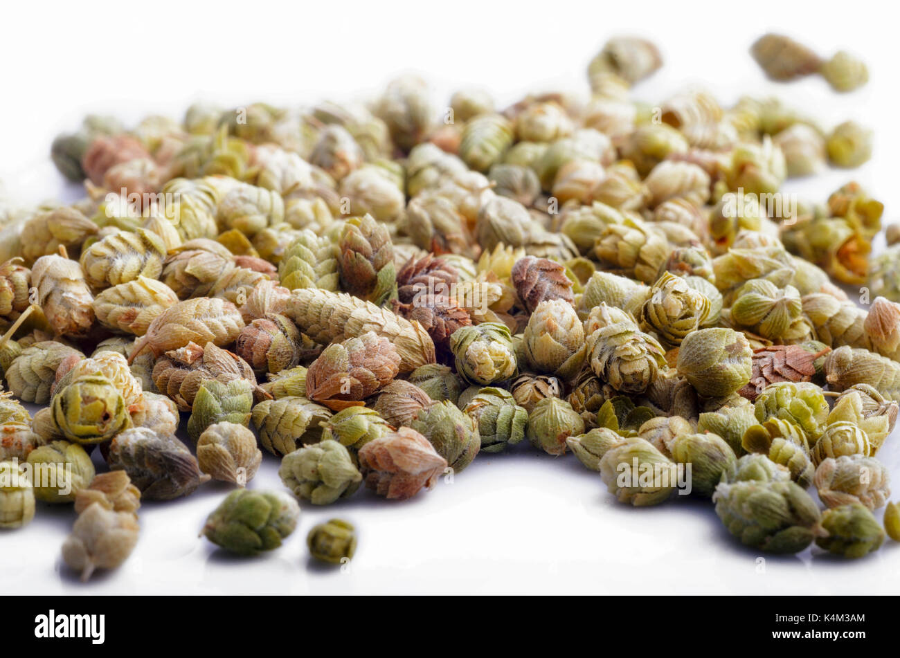 Dried oregano flowers on white background Stock Photo Alamy