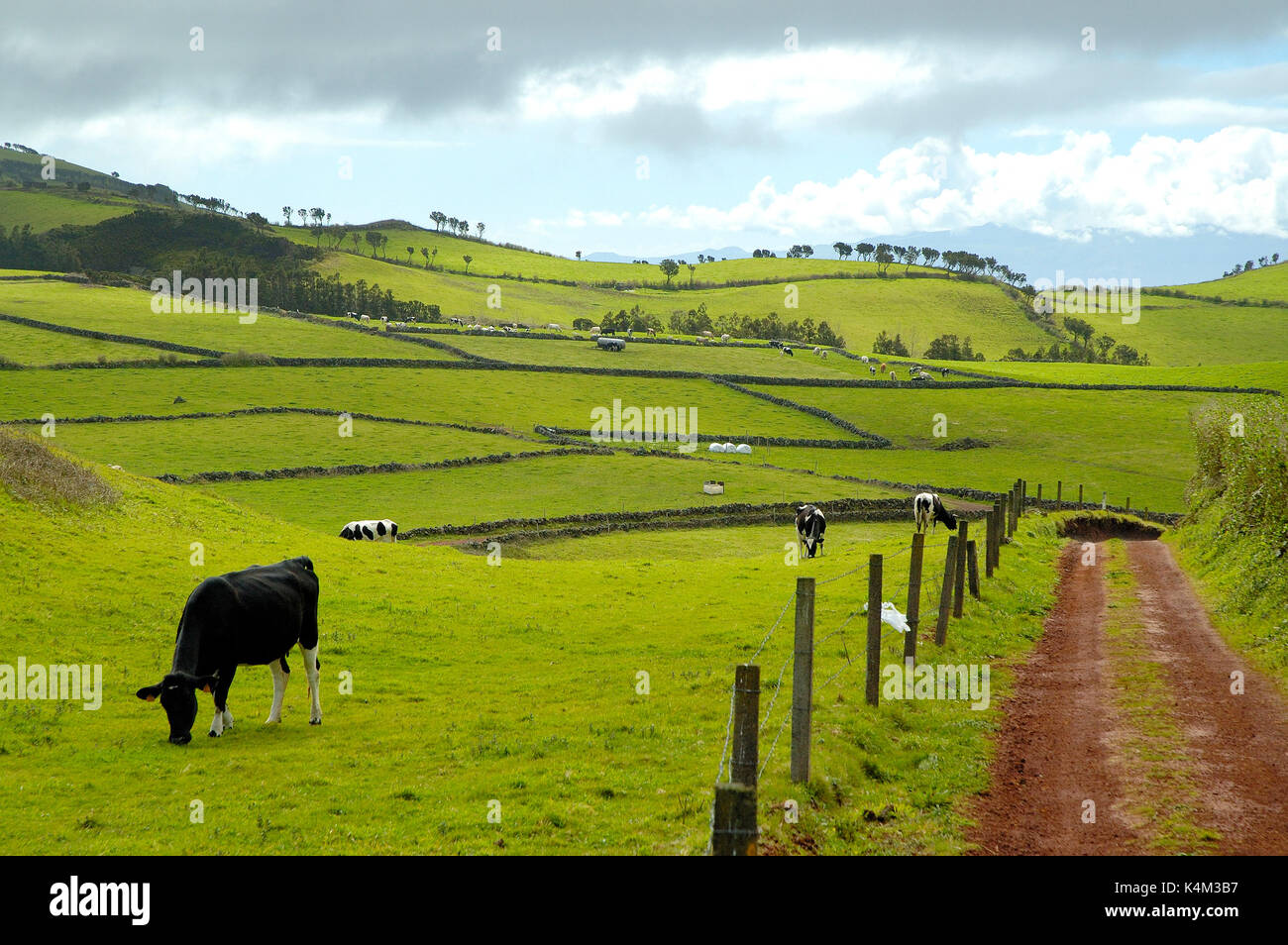 The fertile pastures of São Jorge island. Azores islands, Portugal ...