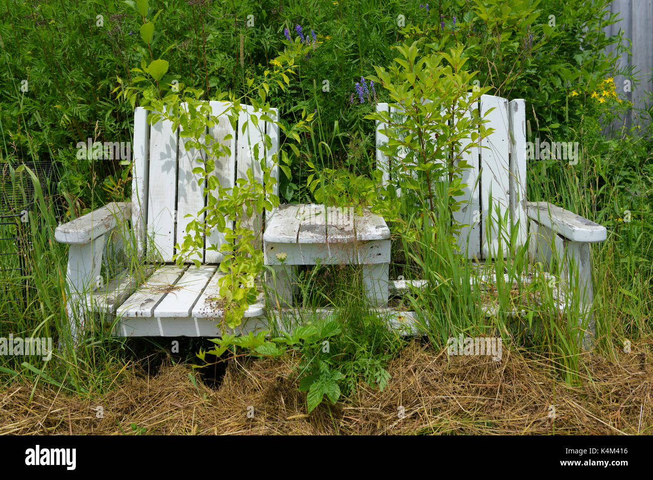 Old adirondack chairs Stock Photo Alamy