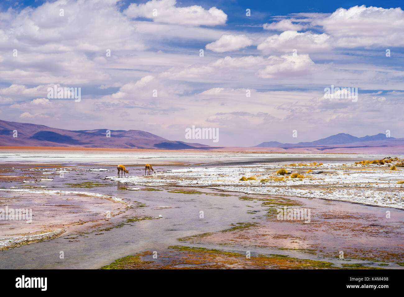 The Salar de Uyuni is the largest salt flat in the world. Stock Photo