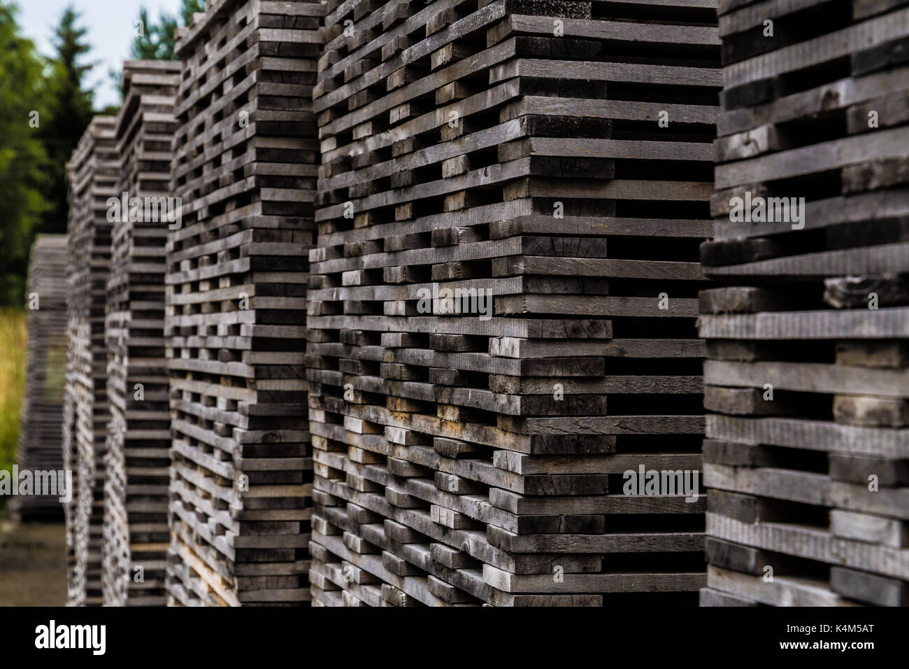 Pile of decayed lumber stacked on top each other Stock Photo