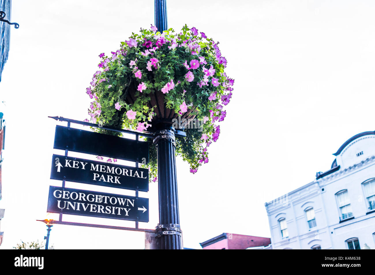 Hanging flower pot with public direction signs for key memorial park and Georgetown University in Washington, DC Stock Photo