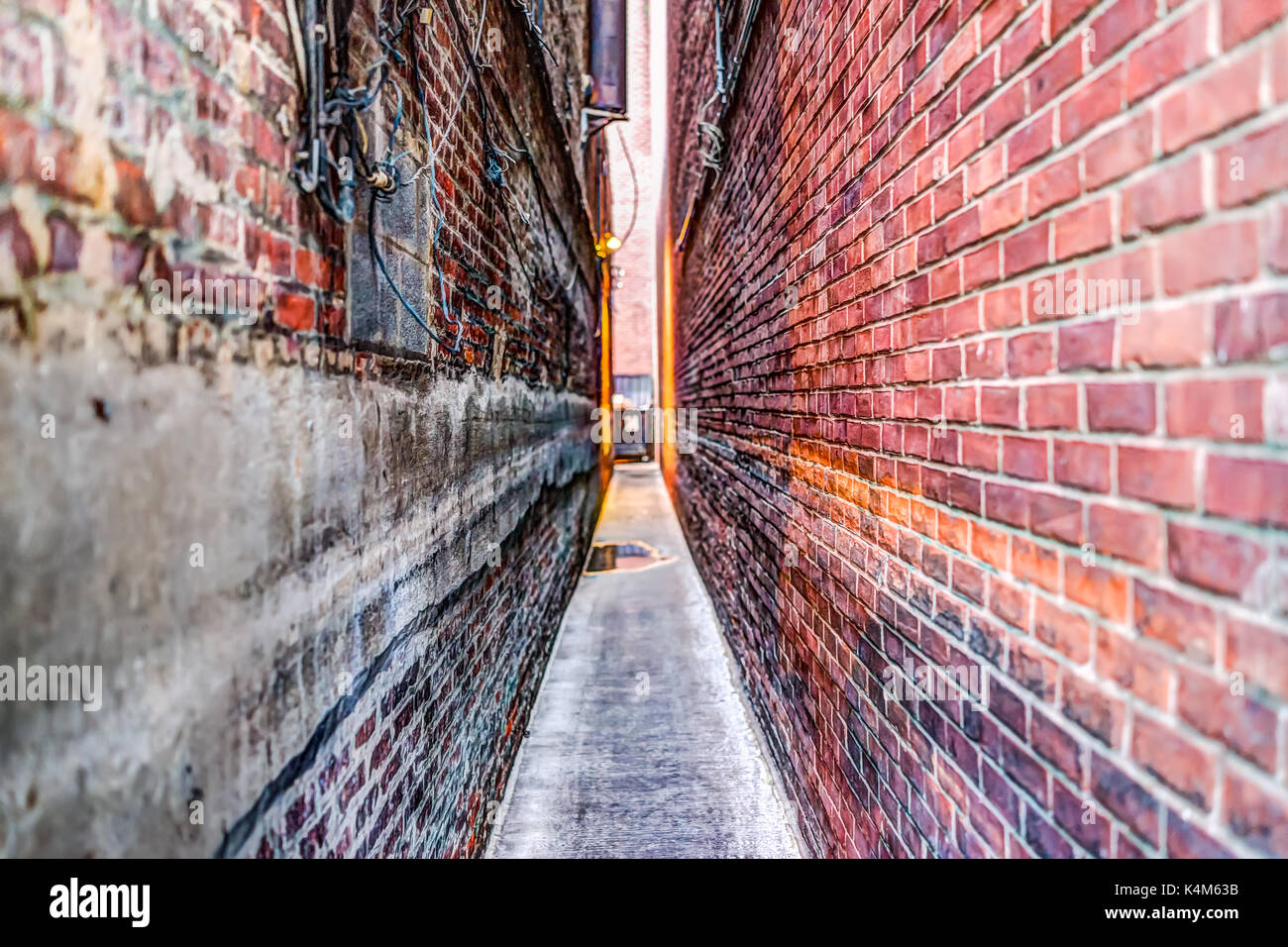 Symmetrical Look High Resolution Stock Photography And Images Alamy