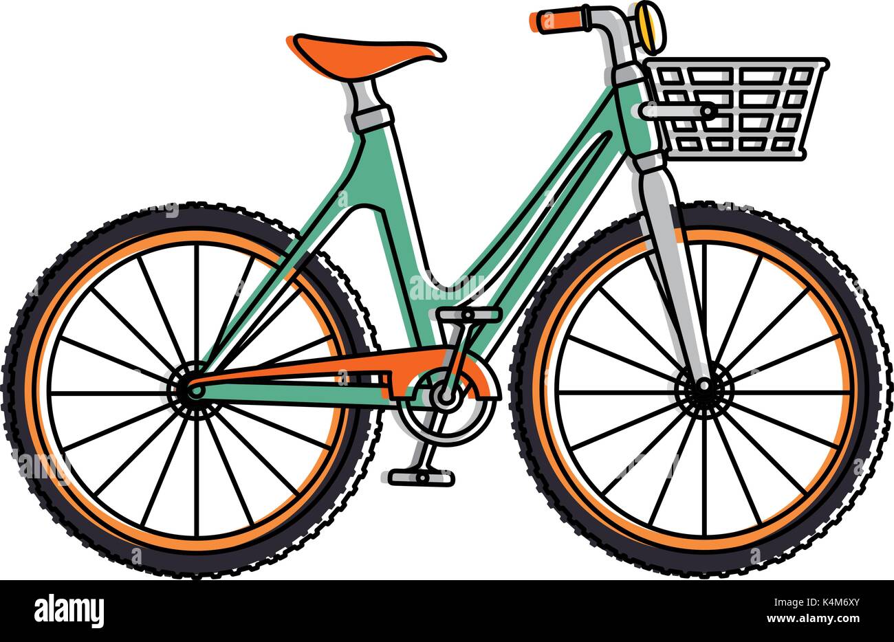 cute bicycle with basket vector illustration design Stock Vector Image