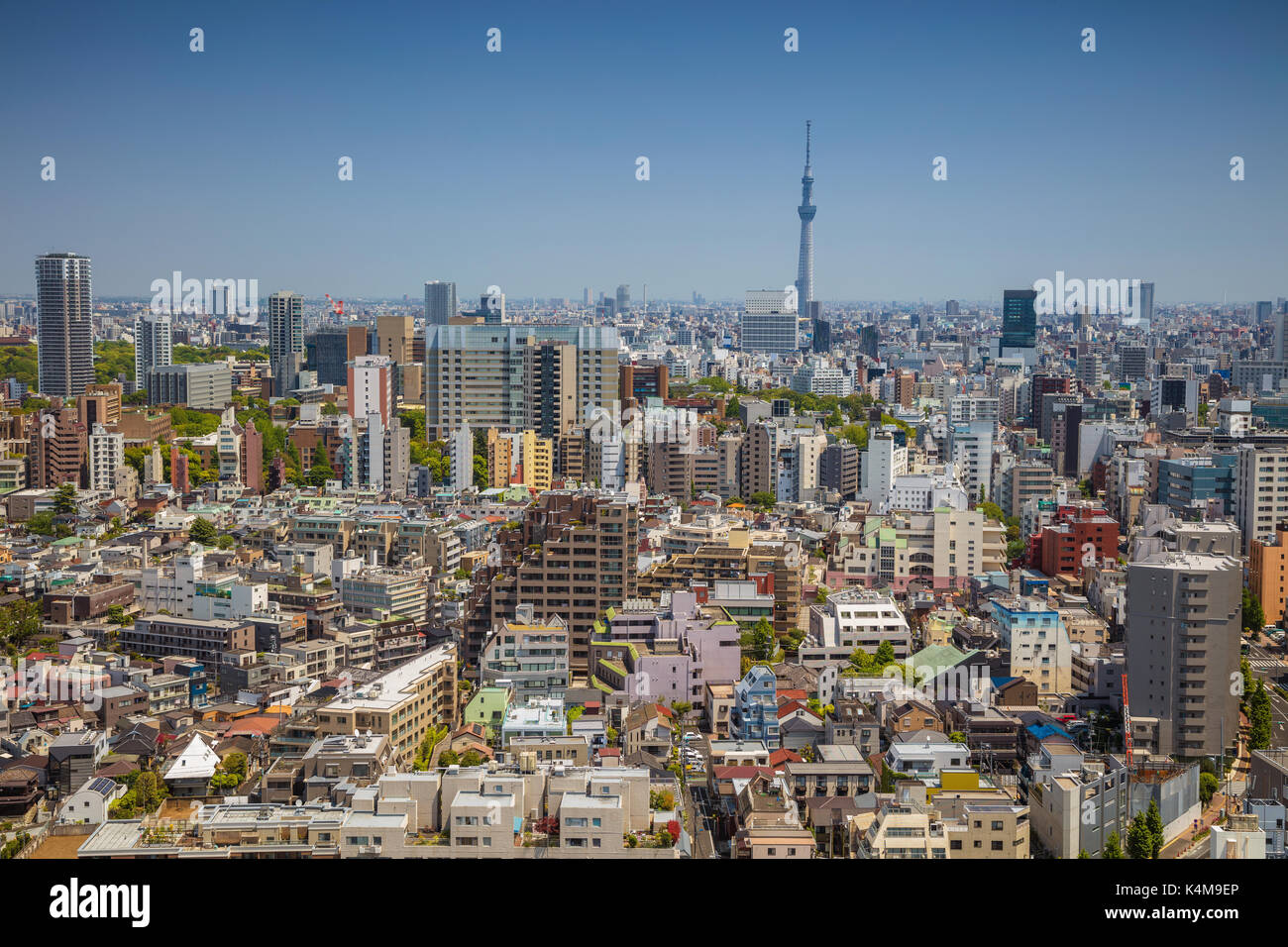 Tokyo. Cityscape image of Tokyo skyline during sunny day in Japan. Stock Photo