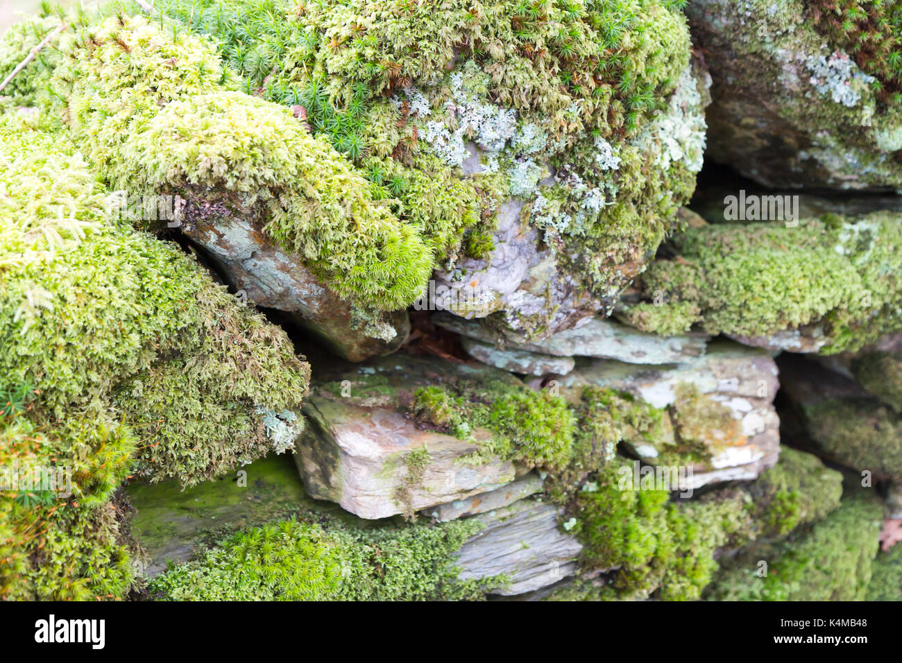 Dry stone wall close up with lichen Stock Photo - Alamy