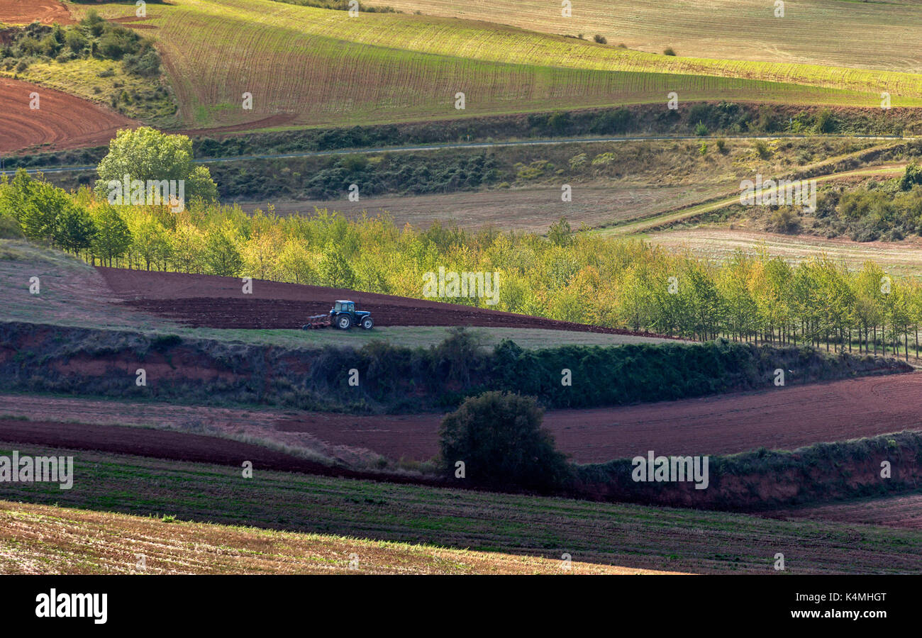 Working the land in La Rioja cereal region, Spain Stock Photo