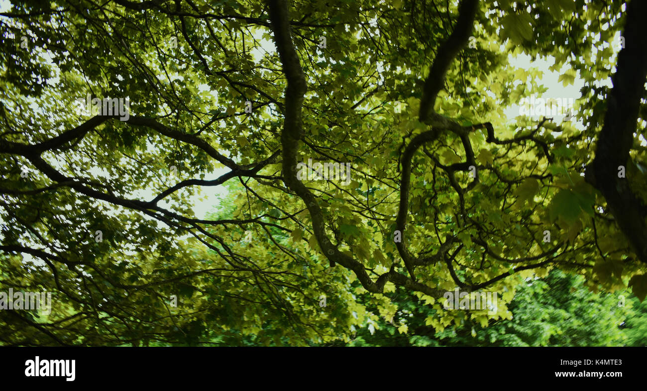 Spring in Nottingham Stock Photo - Alamy