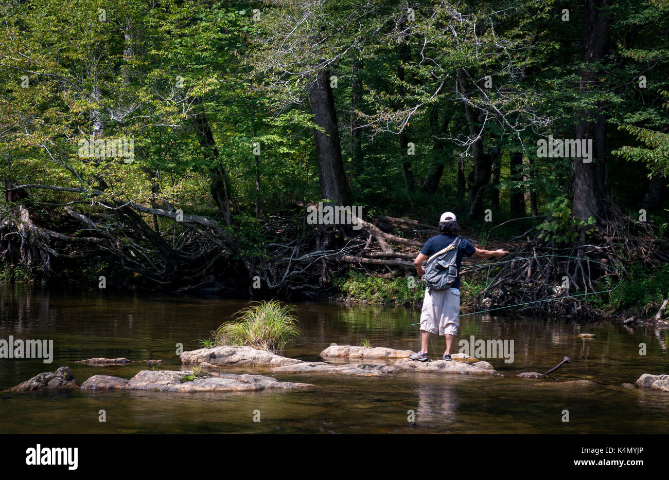 Trout Fishing Guide Man Uses Trout Rod to Fish for Trout,Bass