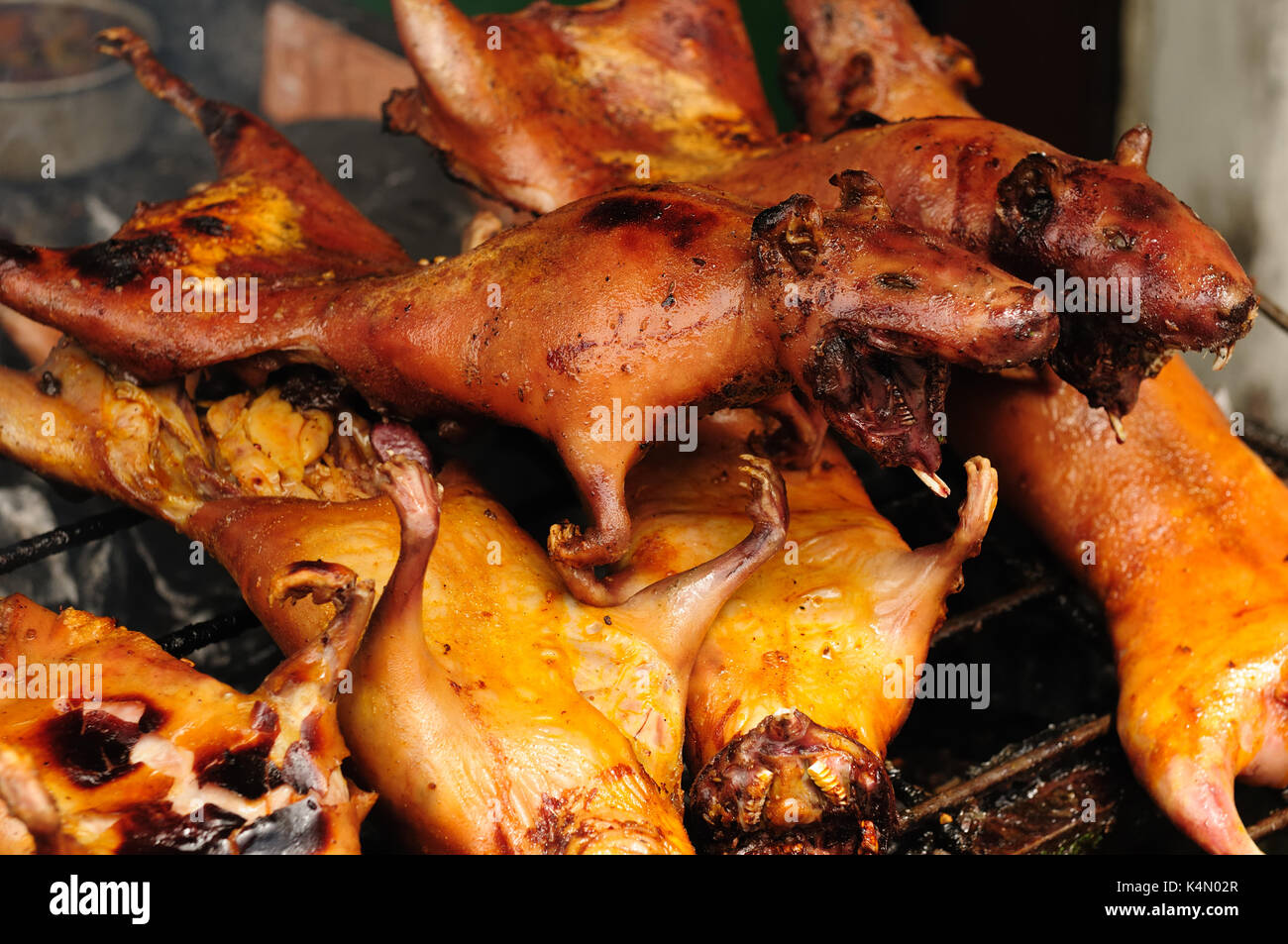 Traditional delicious food of South America  Roasted Guinea Pig (cuy), Ecuador Stock Photo