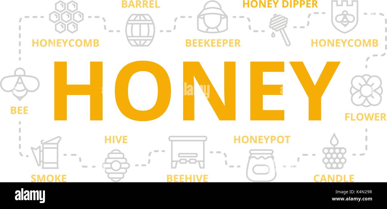 Vector honey thin line banner for design concept. Illustration for presentations on white background Stock Vector