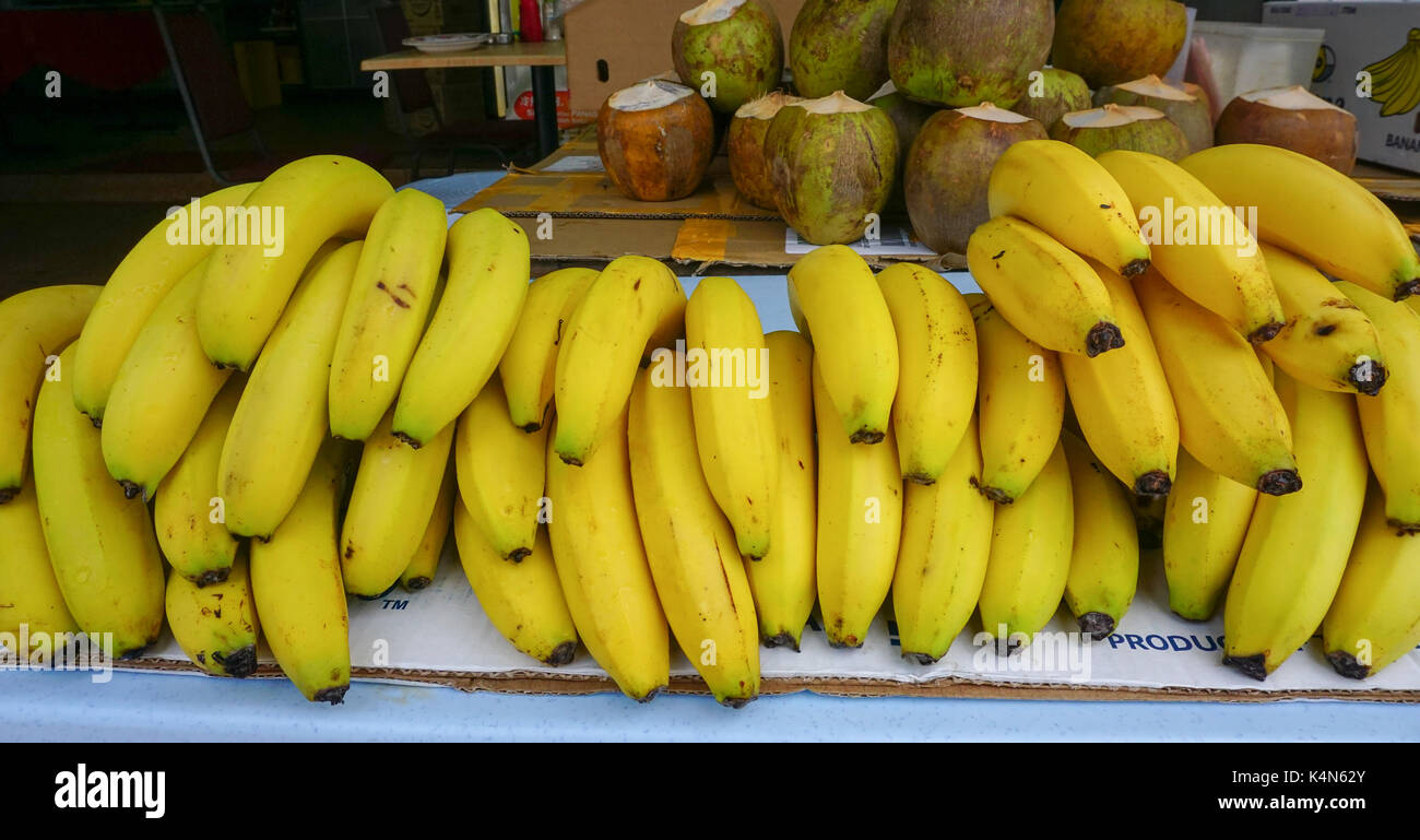 Cultivated banana for retail sale at local fruit market in Kuala Lumpur
