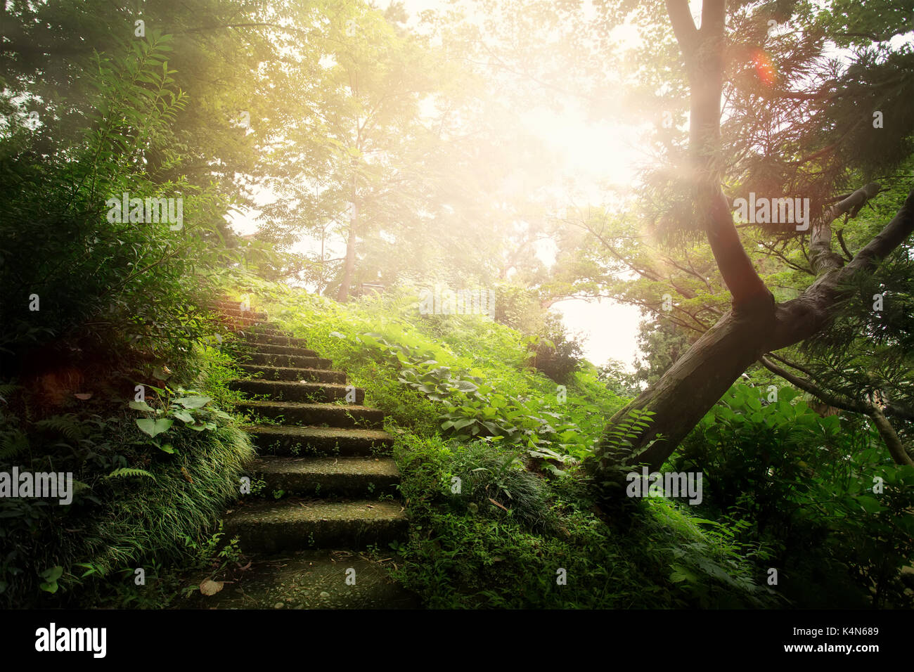Beautiful peaceful park old hi-res stock photography and images - Alamy