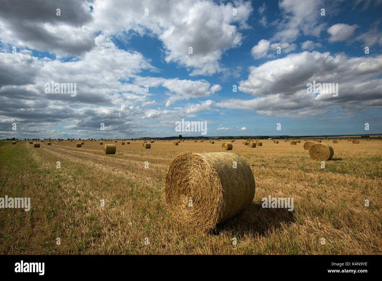 Straw Bales in Normandy, Calvados, France. August 2017 Straw bales or Hay Bales in a field in Normandy France after the autumn harvest. Straw is an ag Stock Photo