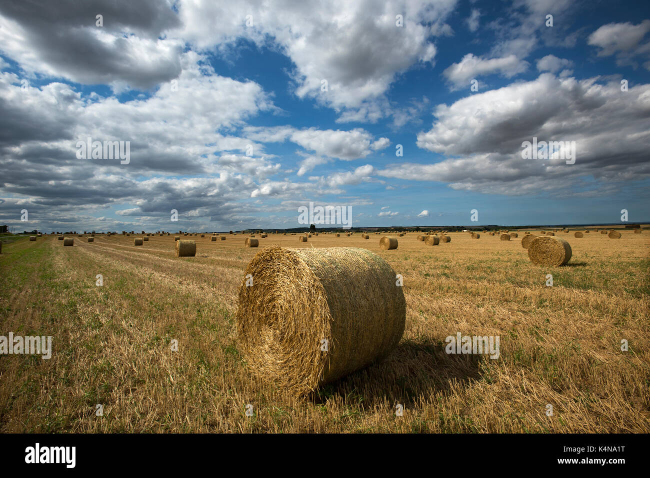 Straw Bales in Normandy, Calvados, France. August 2017 Straw bales or