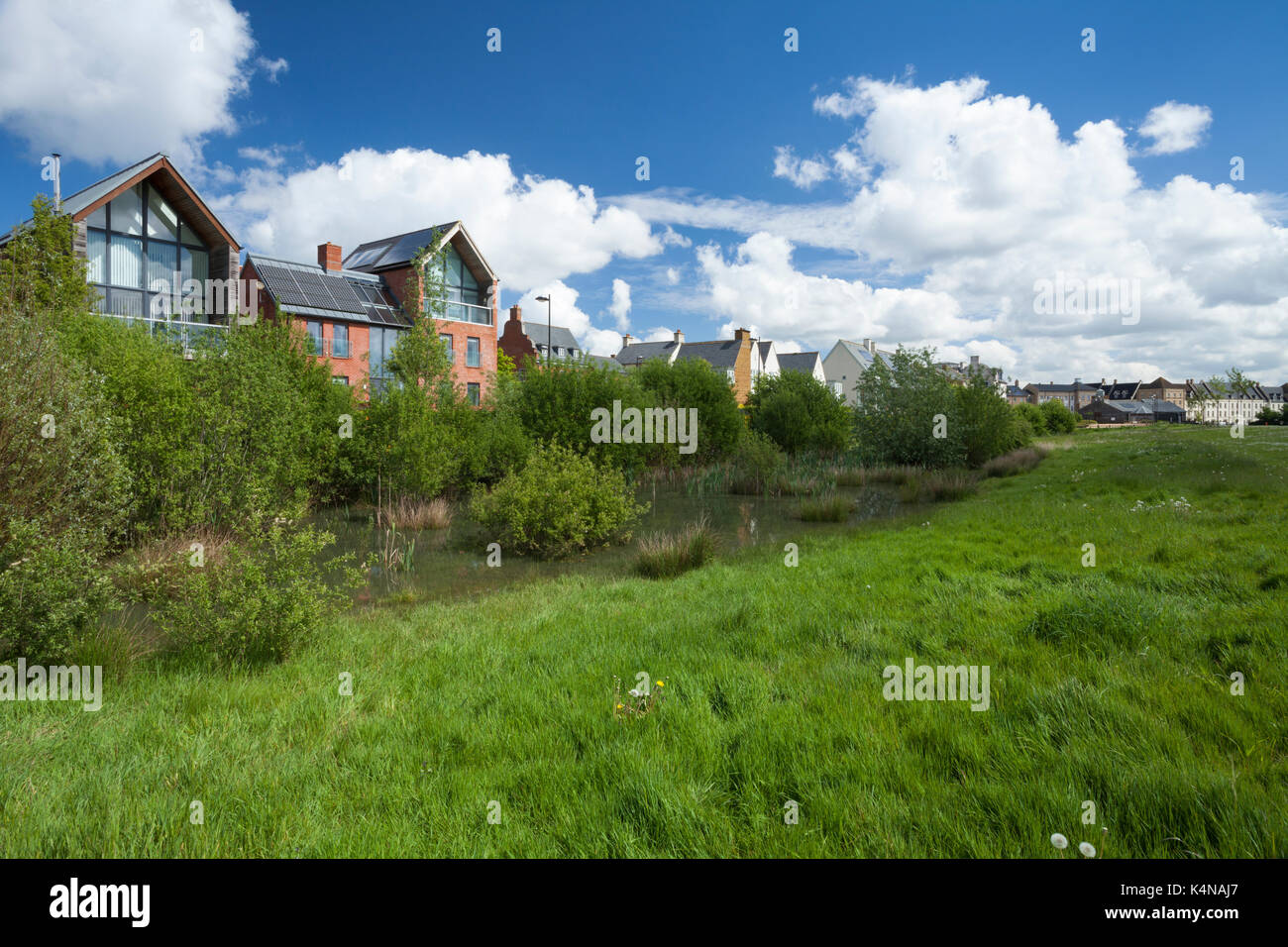A mix of contemporary architectural styles beside parkland with wildlife-friendly edges and wetland areas for rainwater capture, Northampton, England. Stock Photo