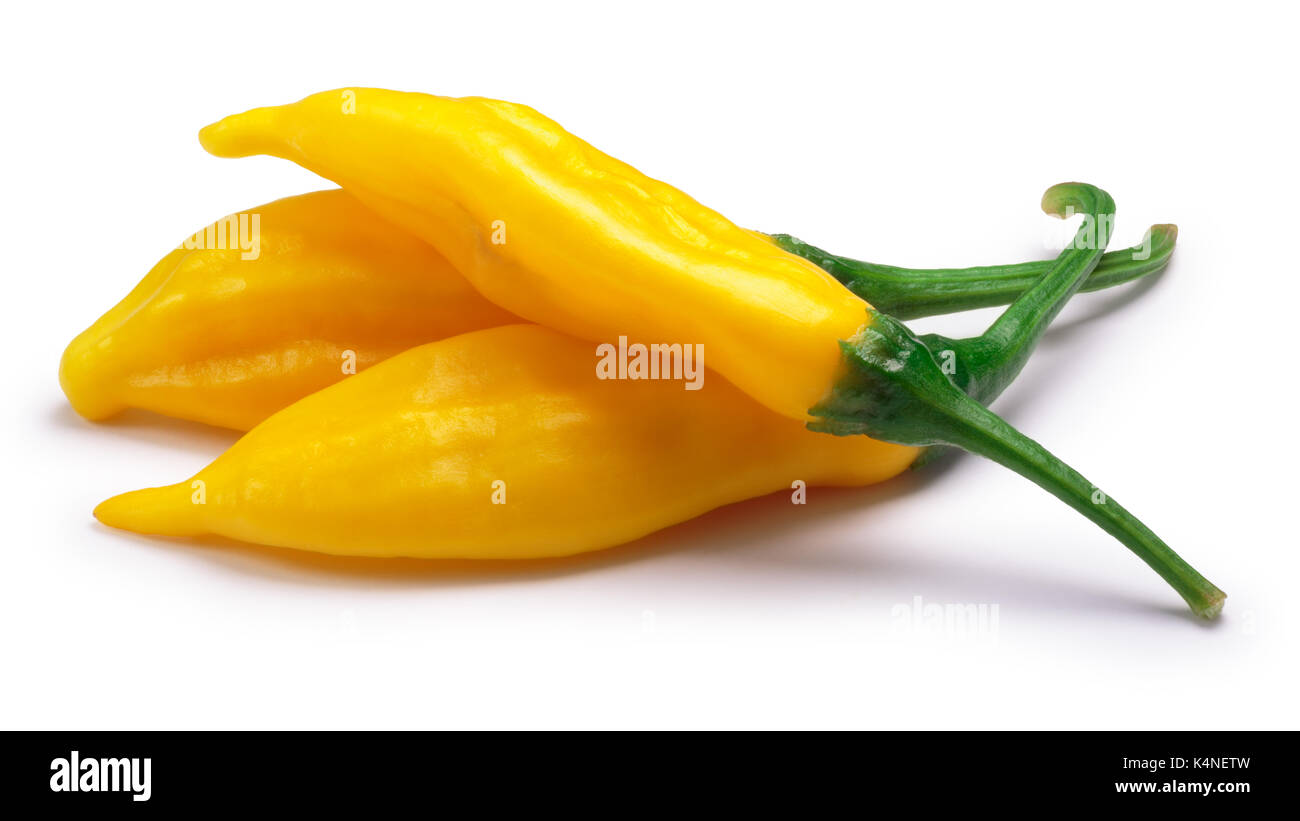 Aji Lemon Drop chile peppers (Capsicum baccatum). Clipping paths, shadow separated Stock Photo