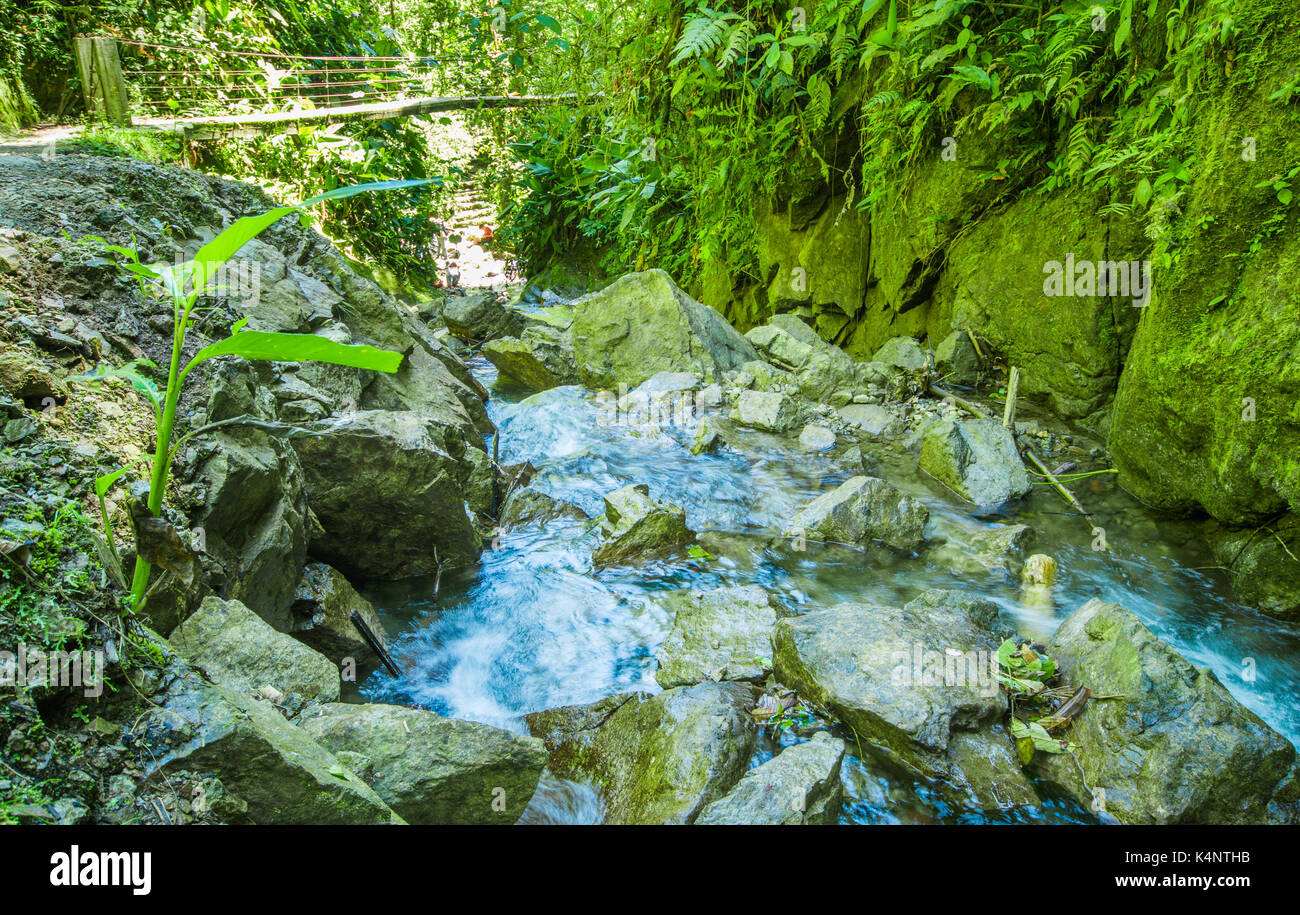 Beautiful river inside of a green forest with stones in river at Mindo Stock Photo