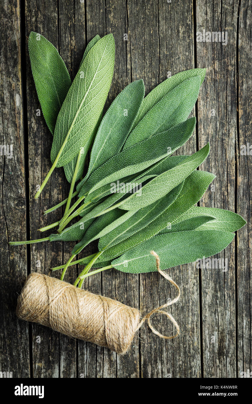 Salvia officinalis. Sage leaves on old wooden table. Garden sage Stock