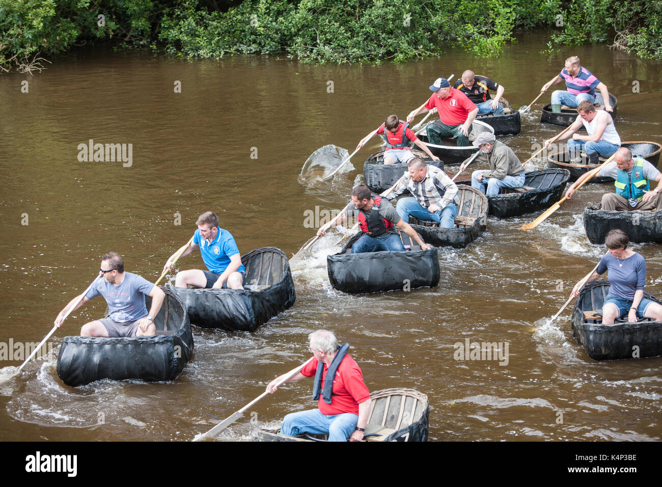 Coracle Racing Pics Cilgerran coracle race hi-res stock photography and images - Alamy