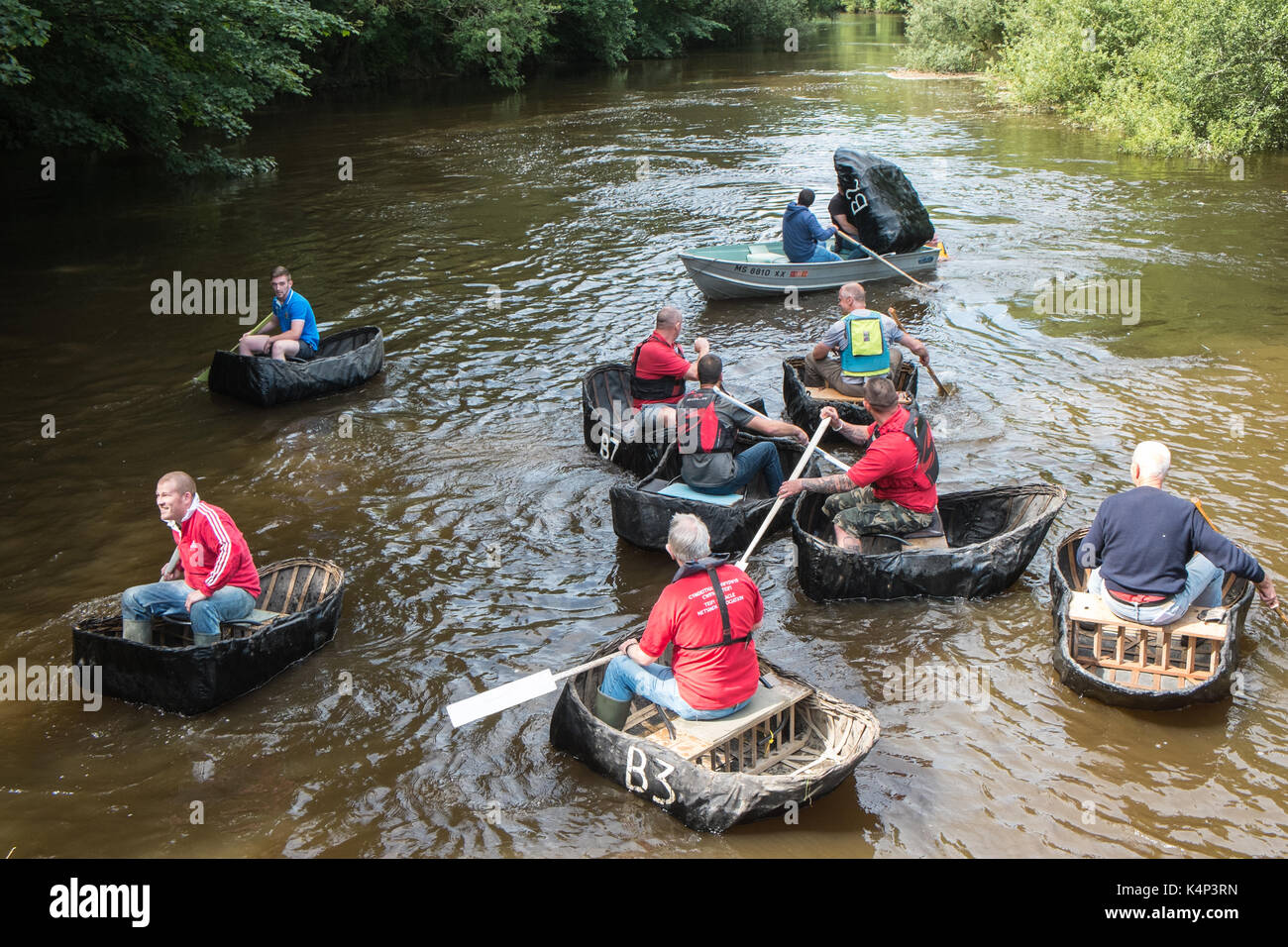 Coracle Racing Pics Cilgerran coracle race hi-res stock photography and images - Alamy