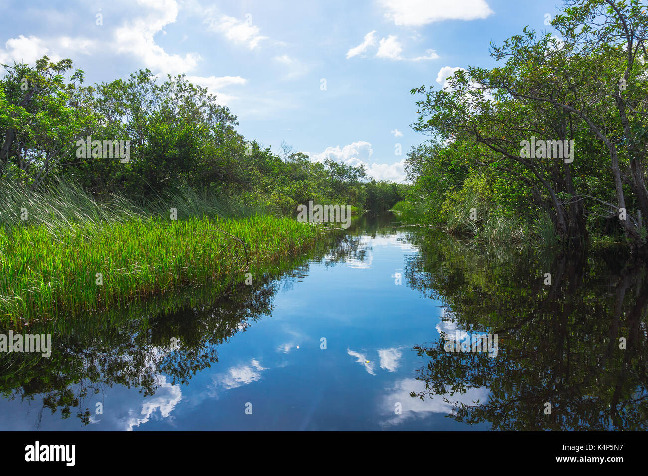 Everglades nationalpark hi-res stock photography and images - Alamy