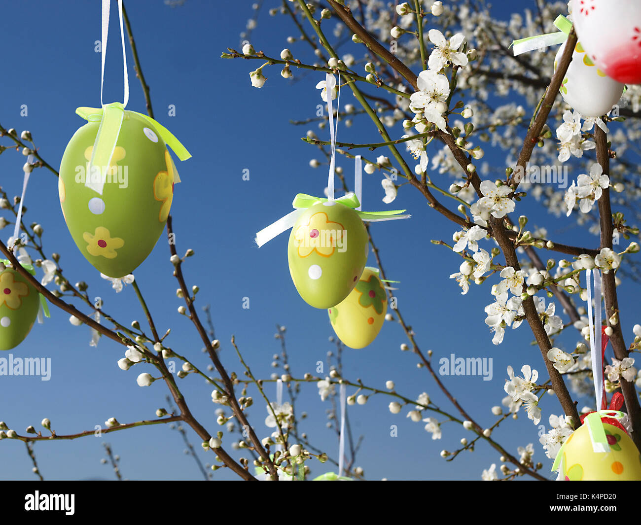 Easter eggs decorated on blooming tree Stock Photo