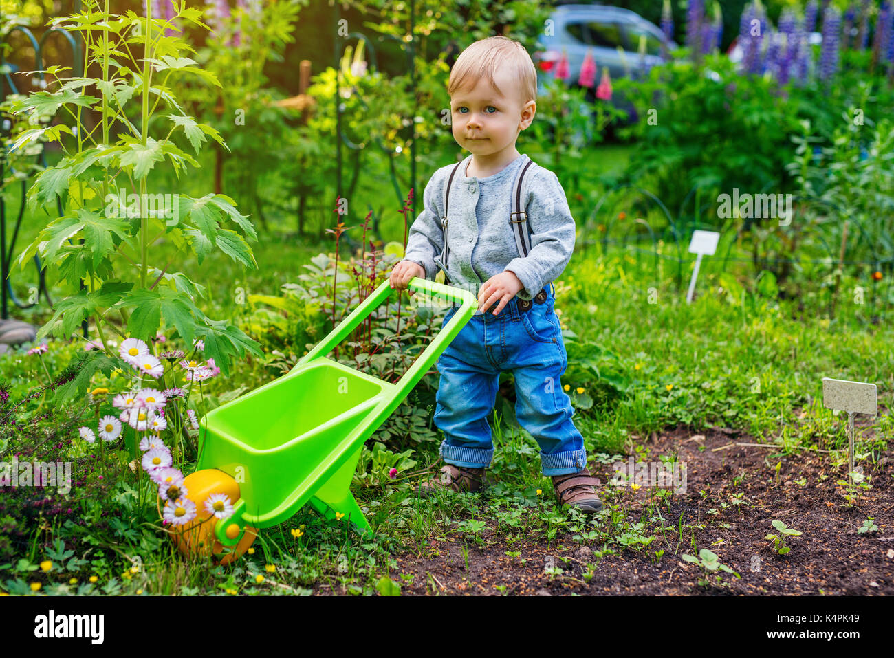 One year cute child in summer garden with wheelbarrow Stock Photo