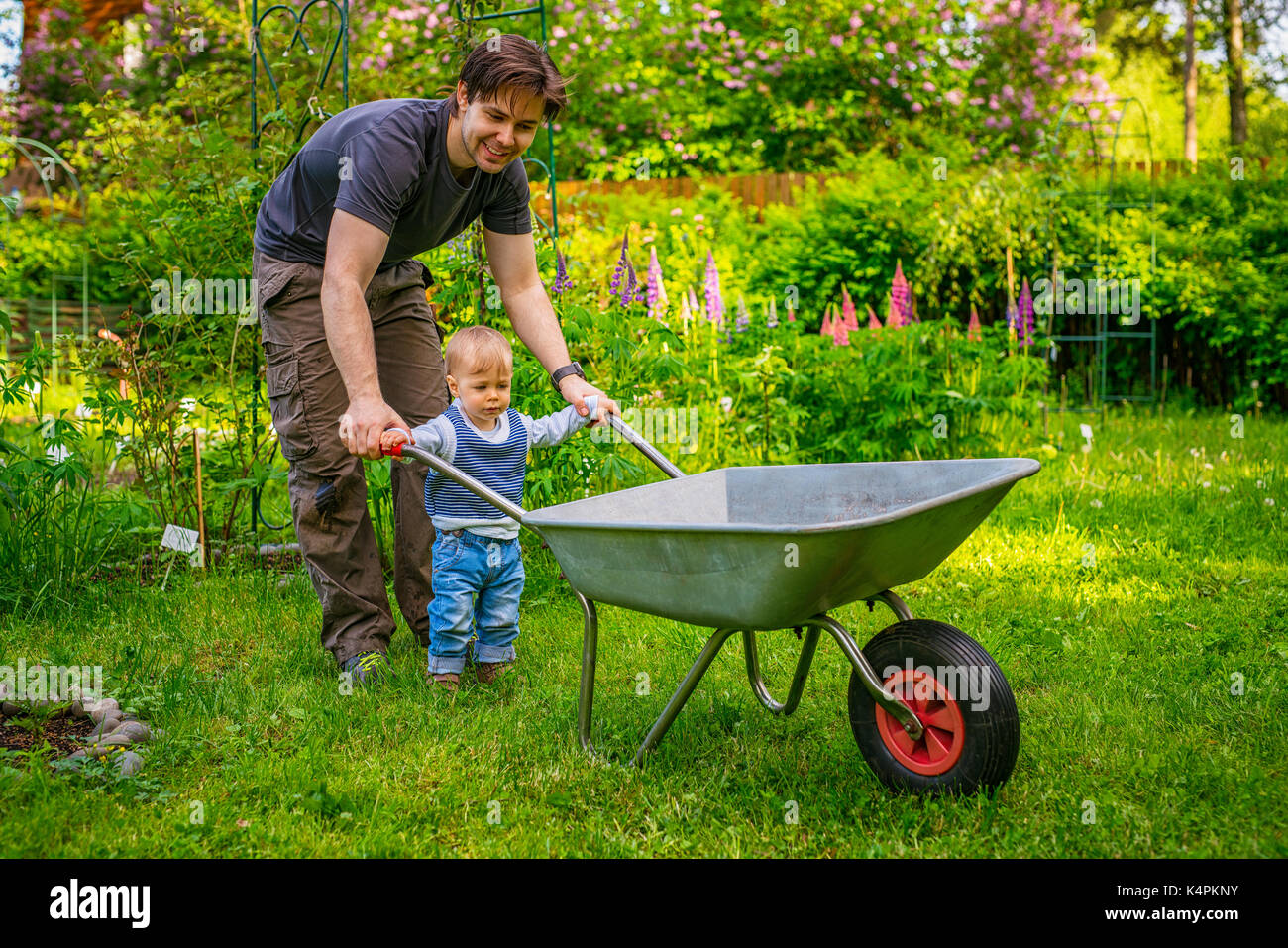 Father with son working in summer garden and holding wheelbarrow Stock Photo