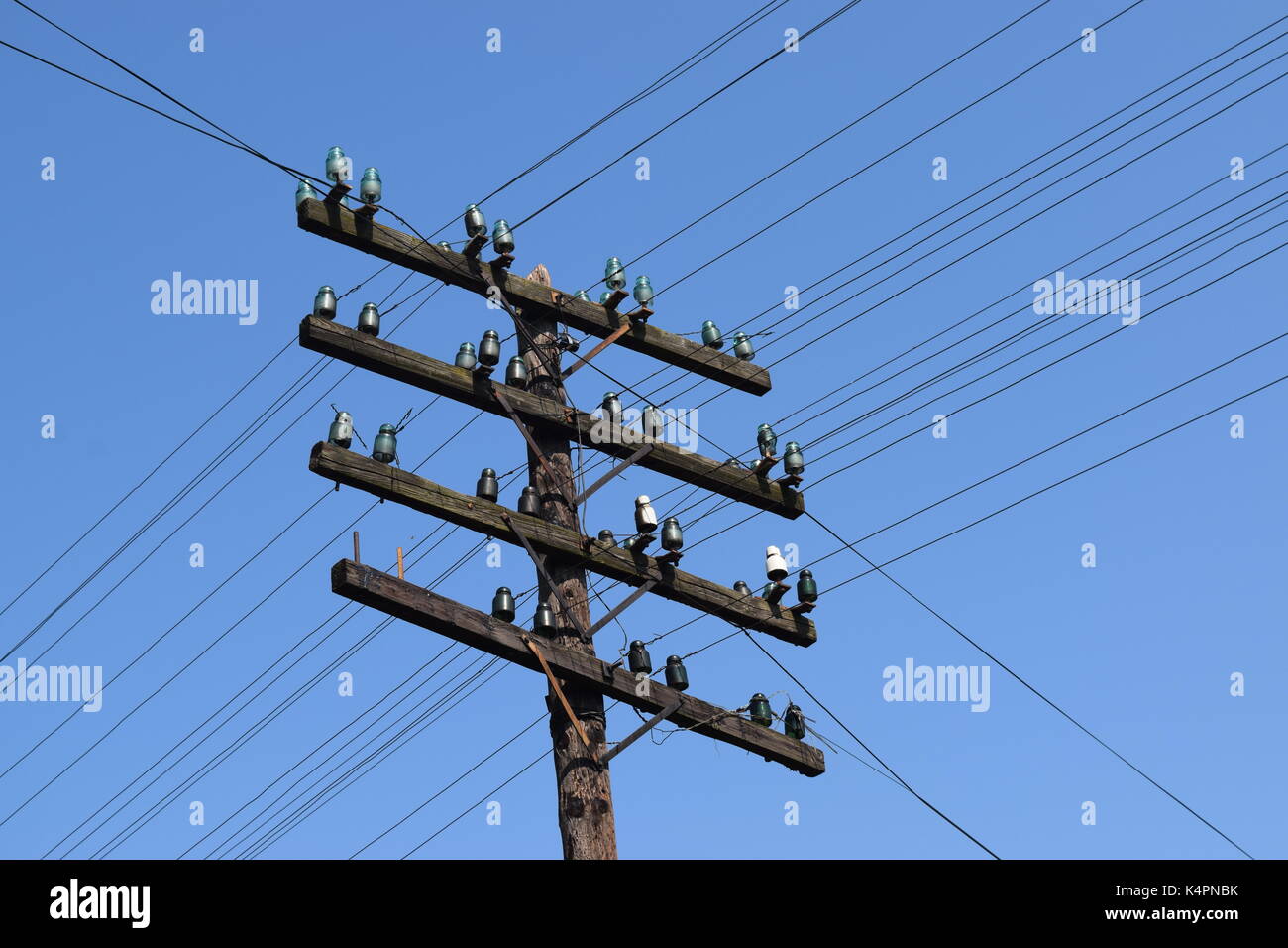 Tall electric line on a pole Stock Photo Alamy