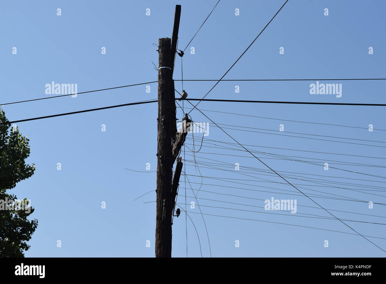 Tall electric line on a pole Stock Photo