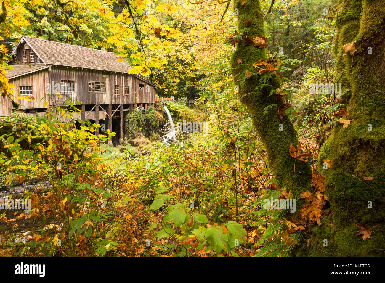 Cedar Creek Grist Mill in Washington State, USA Stock Photo Alamy