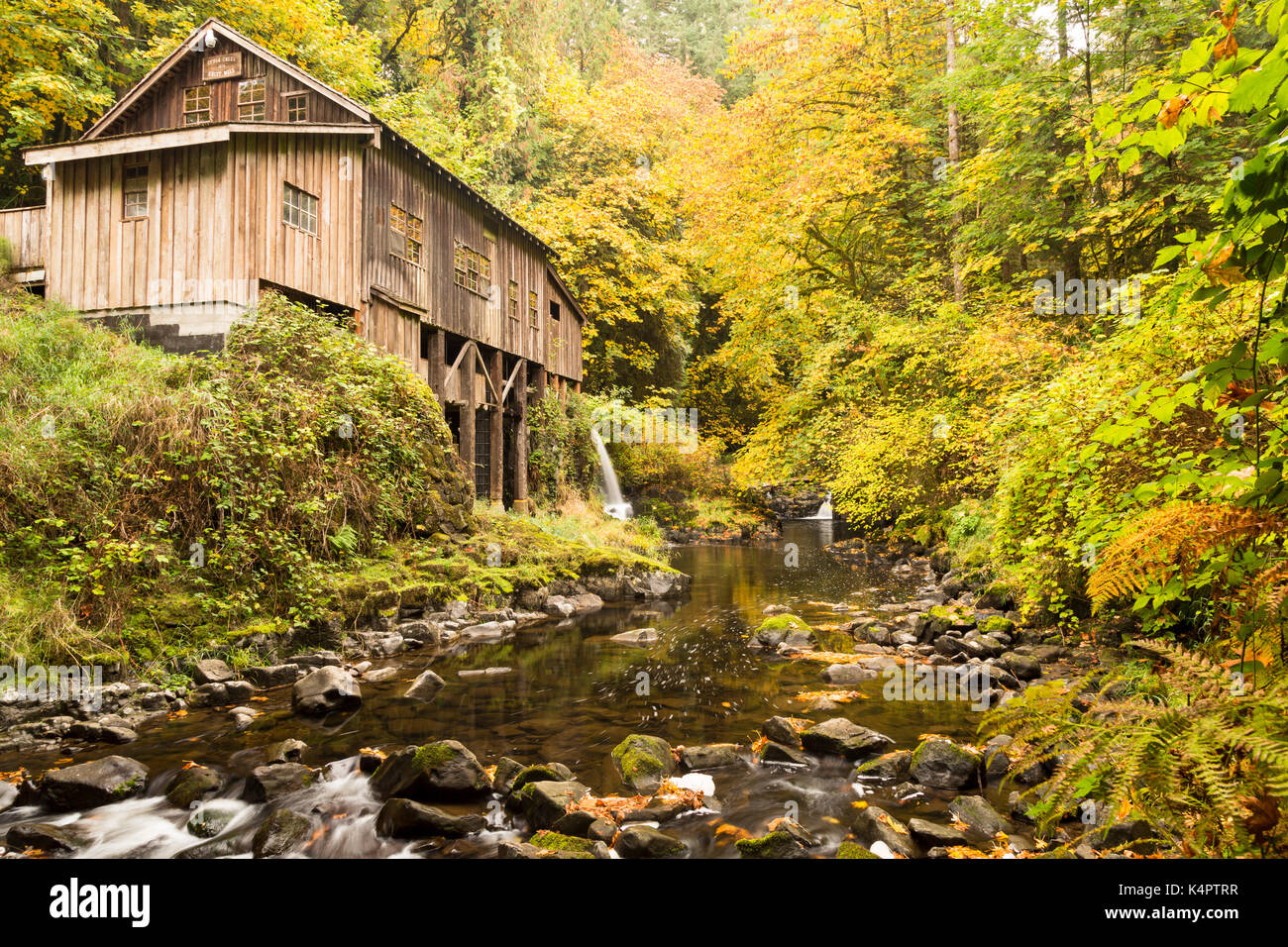 Cedar Creek Grist Mill in Washington State, USA Stock Photo Alamy