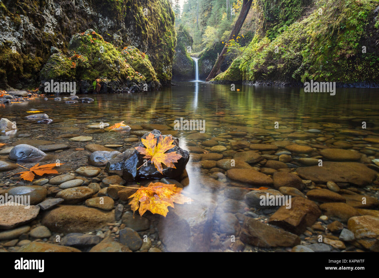 Punchbowl Falls, located along Eagle Creek in the Columbia River Gorge Stock Photo